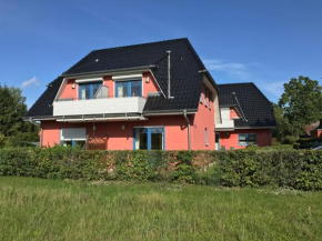 Sommerwiese in Prerow